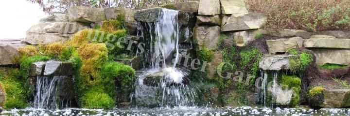 Water feature maintenance